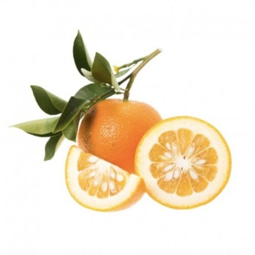 Arancio Amaro - Passione Piante