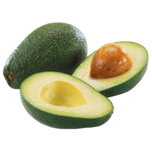 Albero di Avocado - Passione Piante