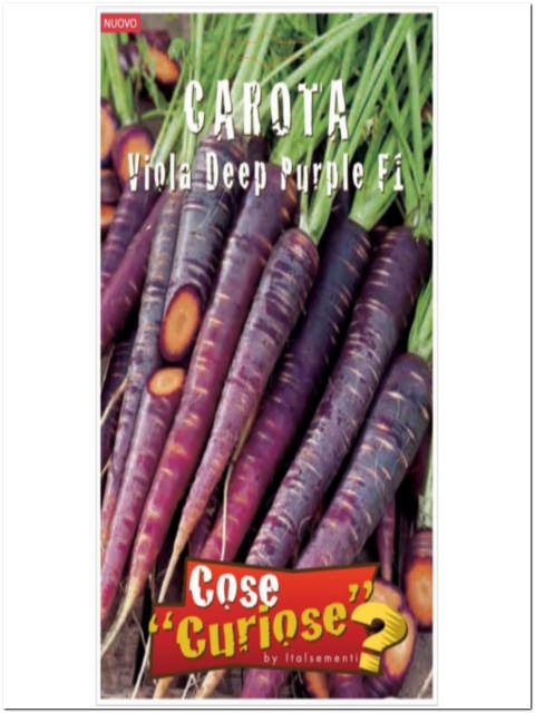 SEMI DI CAROTA VIOLA