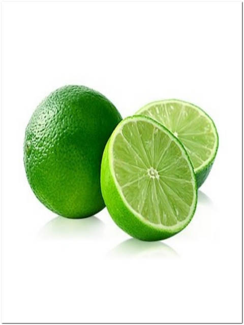 ALBERO DI LIME IN FITOCELLA ALT 140/160 CM