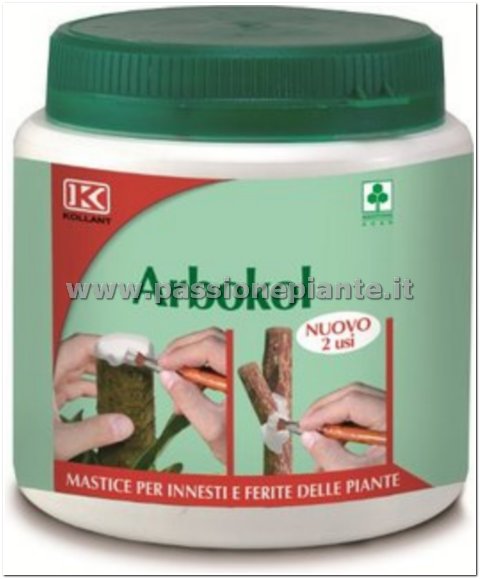 MASTICE PER INNESTI