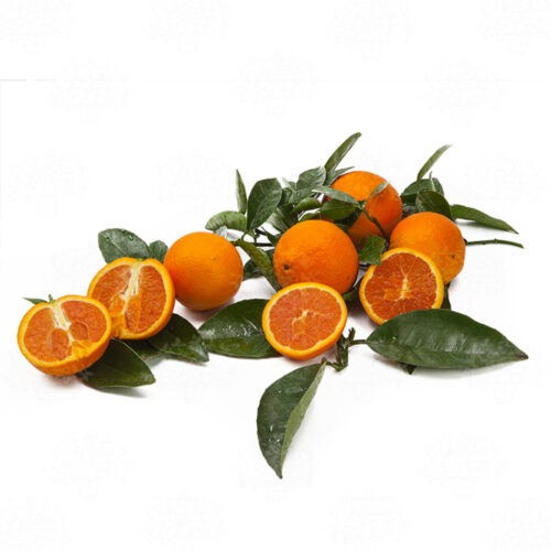 Arancio Fragola - Passione Piante