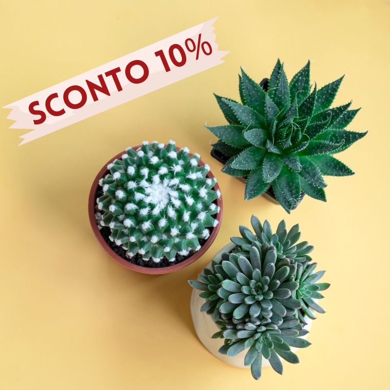 Sconto iscrizione alla newsletter del 10%